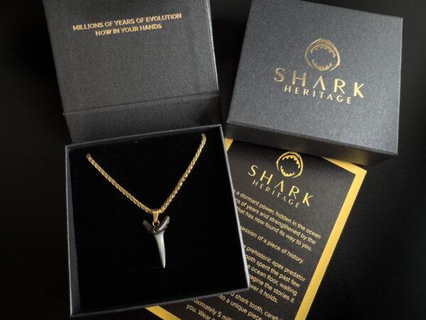 shark-necklace-packaging