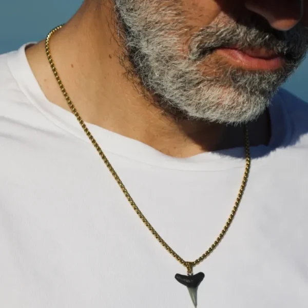 shark tooth necklace gold chain