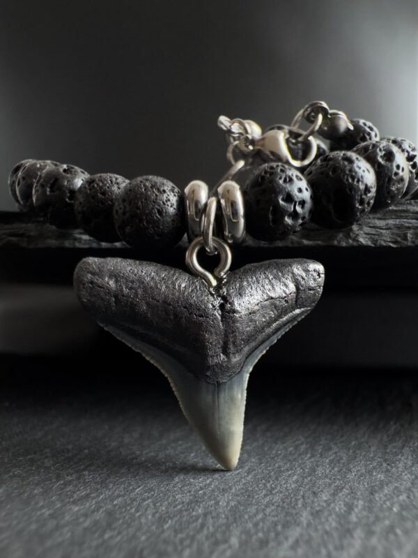 shark_tooth_necklace