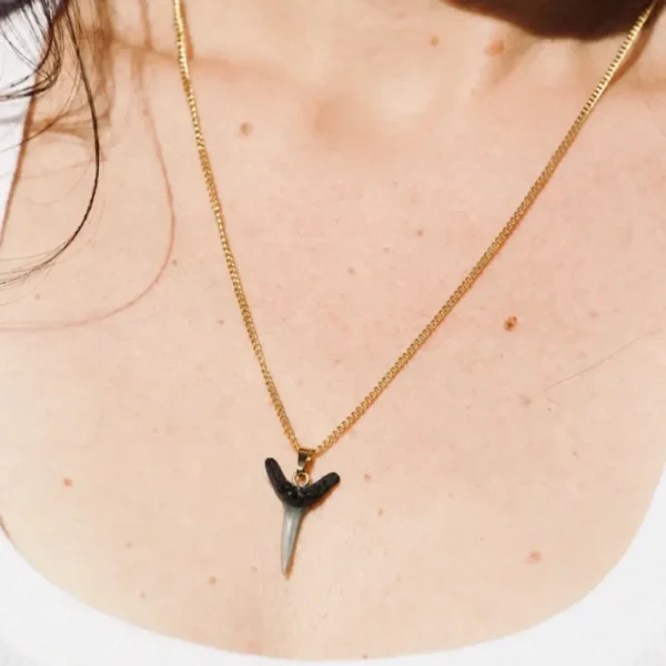 fossil shark tooth necklace by shark heritage