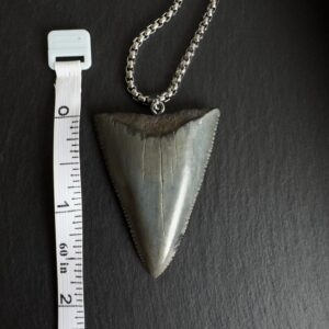 Great_white_shark_pendant