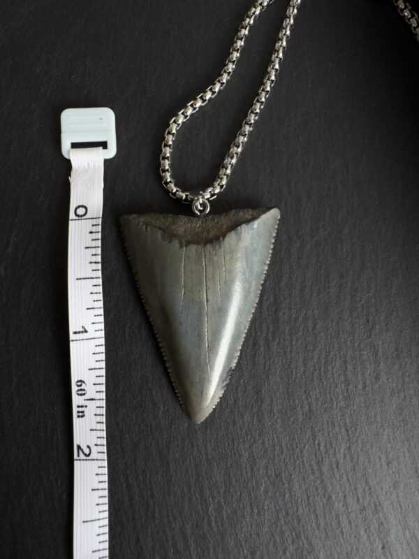 Great_white_shark_pendant