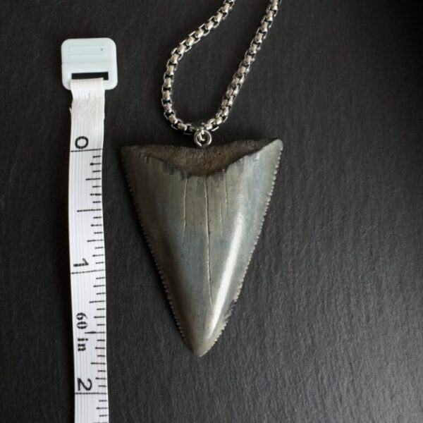 Great_white_shark_pendant