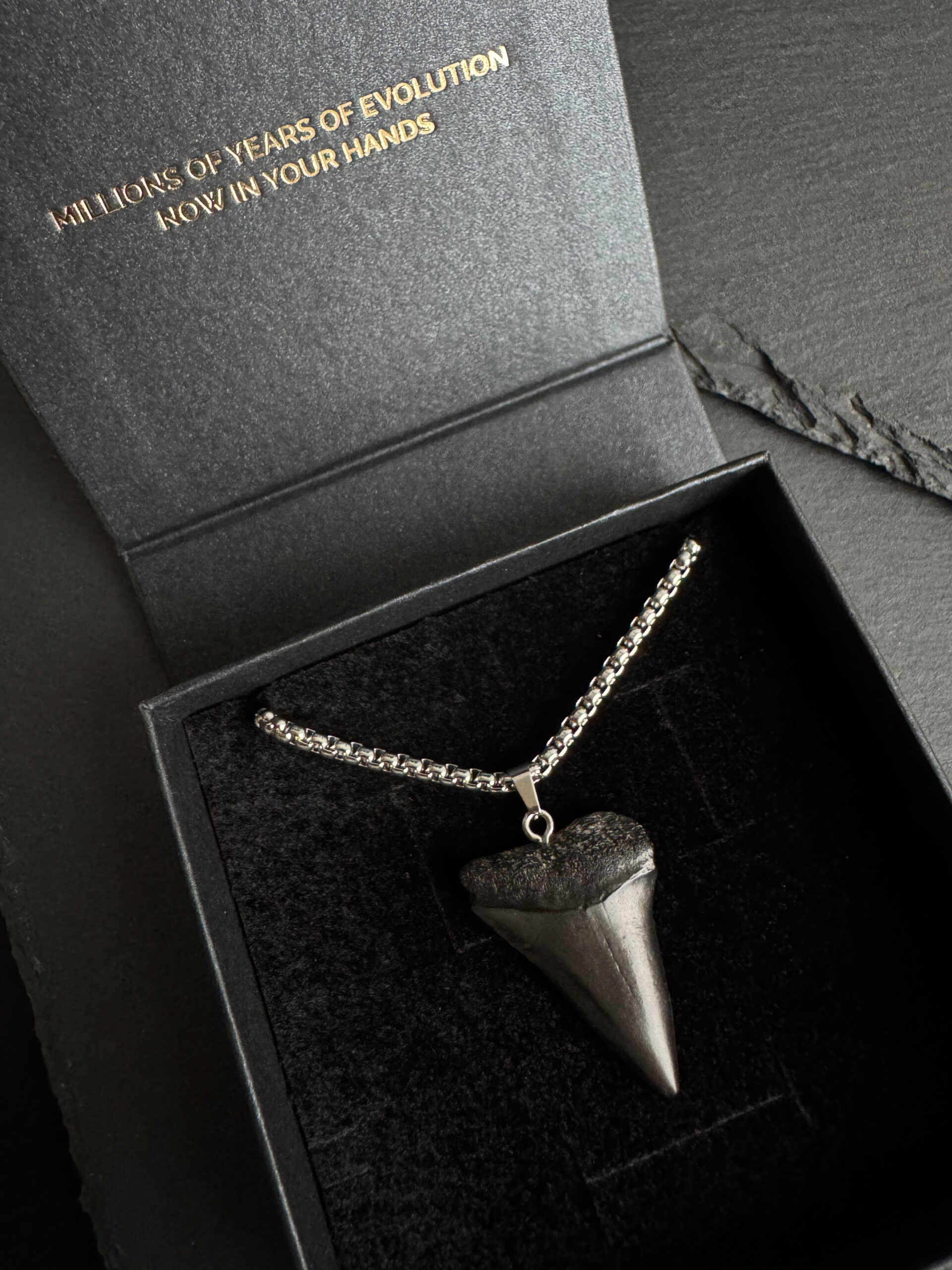 Great White Shark Tooth Necklace – 1.34 inch / 3.4cm long
