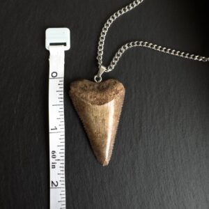 Great White Shark Tooth PendantGreat White Shark Tooth Pendant