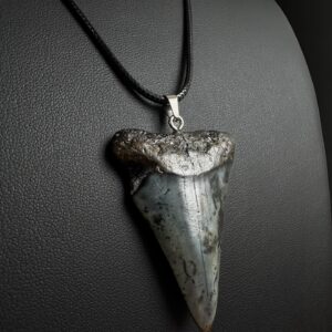 Great White Shark necklace