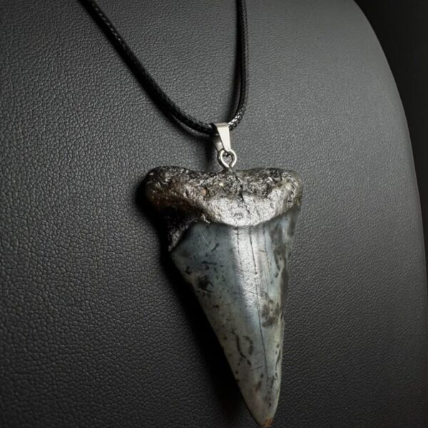 Great White Shark necklace