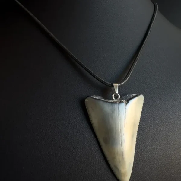 Fossil Great White Shark Tooth Necklace – 1.7″ / 4.3cm