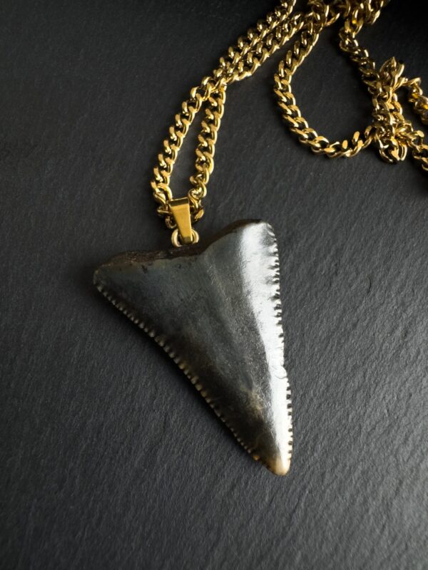 Great White Shark Tooth Necklace 1.3inch/3.3cm long - 18k Gold Plating - Image 5