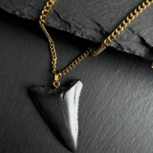 Great White Shark fossil Tooth necklace