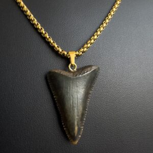 Great White Shark Tooth necklace unisex
