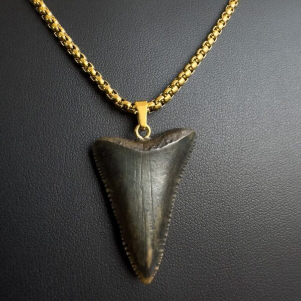 Great White Shark Tooth necklace unisex