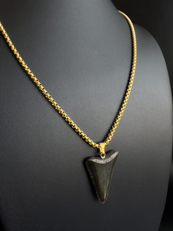 Great White Shark Tooth necklace unisex