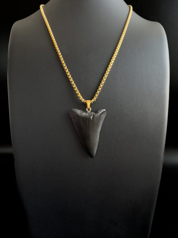 Great White Shark Tooth necklace Gold
