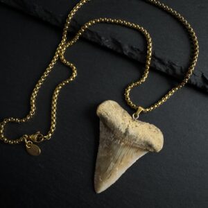 Huge Great White Shark Tooth Necklace 2.17inch/5.5cm - 18k Gold Plating