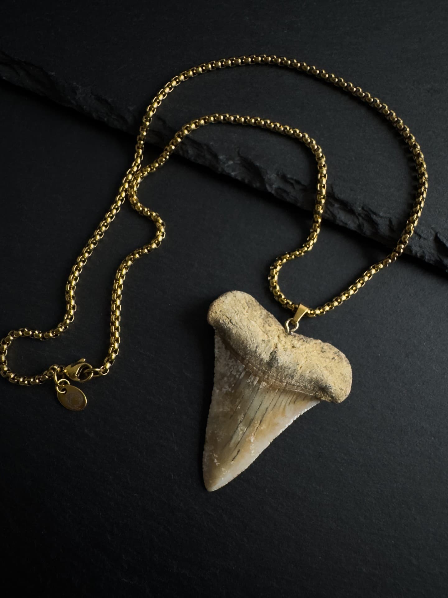 Huge Great White Shark Tooth Necklace 2.17inch/5.5cm - 18k Gold Plating