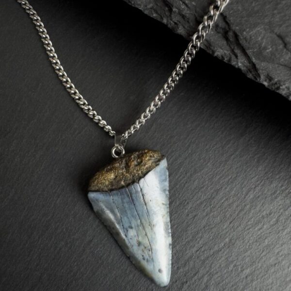 Great White Shark Tooth Necklace - 1.57 inch / 4cm long