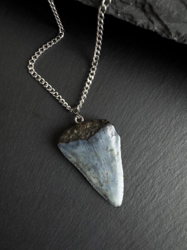 Great White Shark Tooth Necklace - 1.57 inch / 4cm long - Image 3