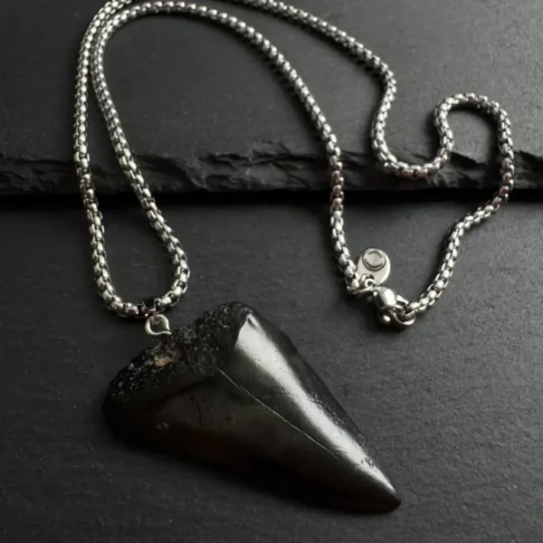 Ancestral Great White Shark Tooth Necklace - 4.7cm / 1.85"