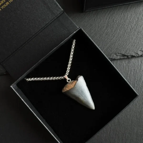 Great White Shark Tooth Necklace - 1.42"/3.6cm BLACK