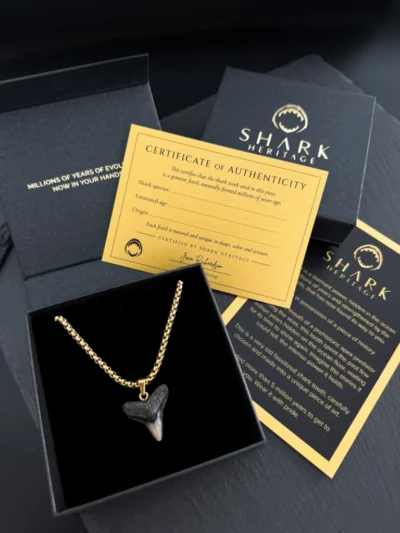 Shark Heritage packaging with an Authenticity Certificate, story card and a custom gift box