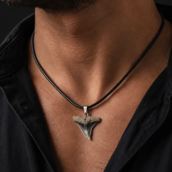 Fossil Snaggletooth Shark Tooth Necklace