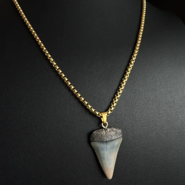 Fossil Great White Shark Tooth Necklace – 2.9cm / 1.14″