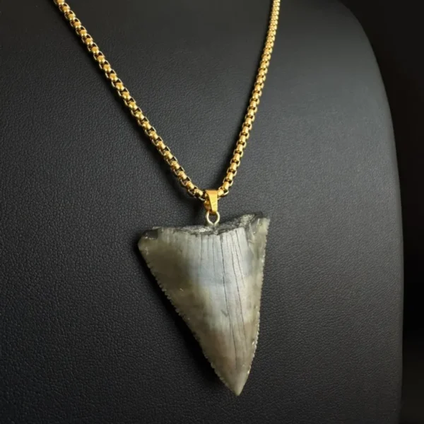 Fossil Great White Shark Tooth Necklace – 4.3 cm / 1.7"