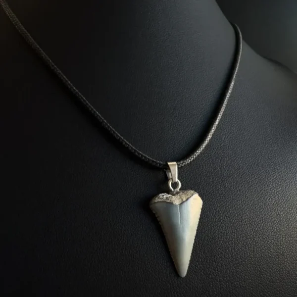 Fossil Great White Shark Tooth Necklace – 0.9" / 2.3 cm